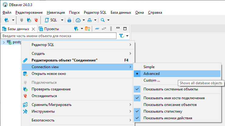 Connection view Advanced
